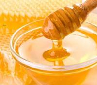 Мёд донниковый 1000 гр