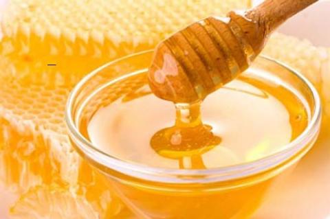 Мёд донниковый 1000 гр